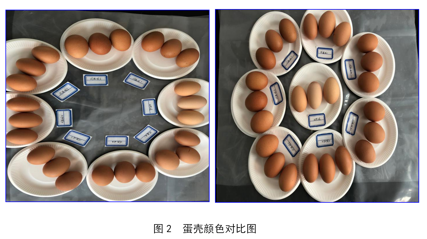 乐虎国际·lehu(中国)最新官方网站