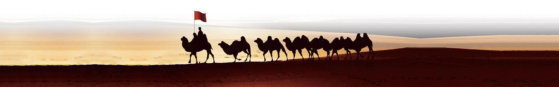 关于3499拉斯维加斯