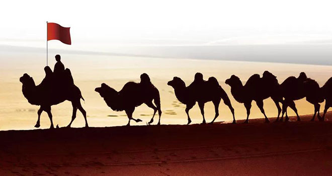 关于3499拉斯维加斯